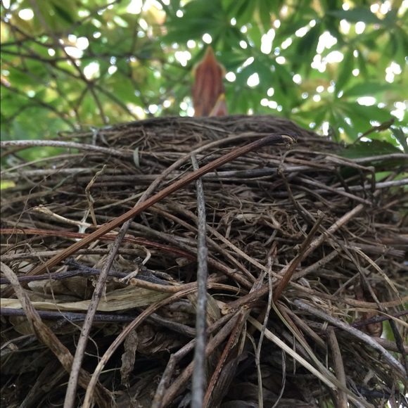 Meet your Posher, I - Picture 4 of 4